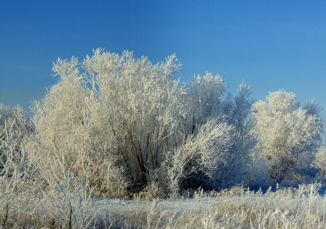 Сказочный день. - nadyasilyuk Вознюк