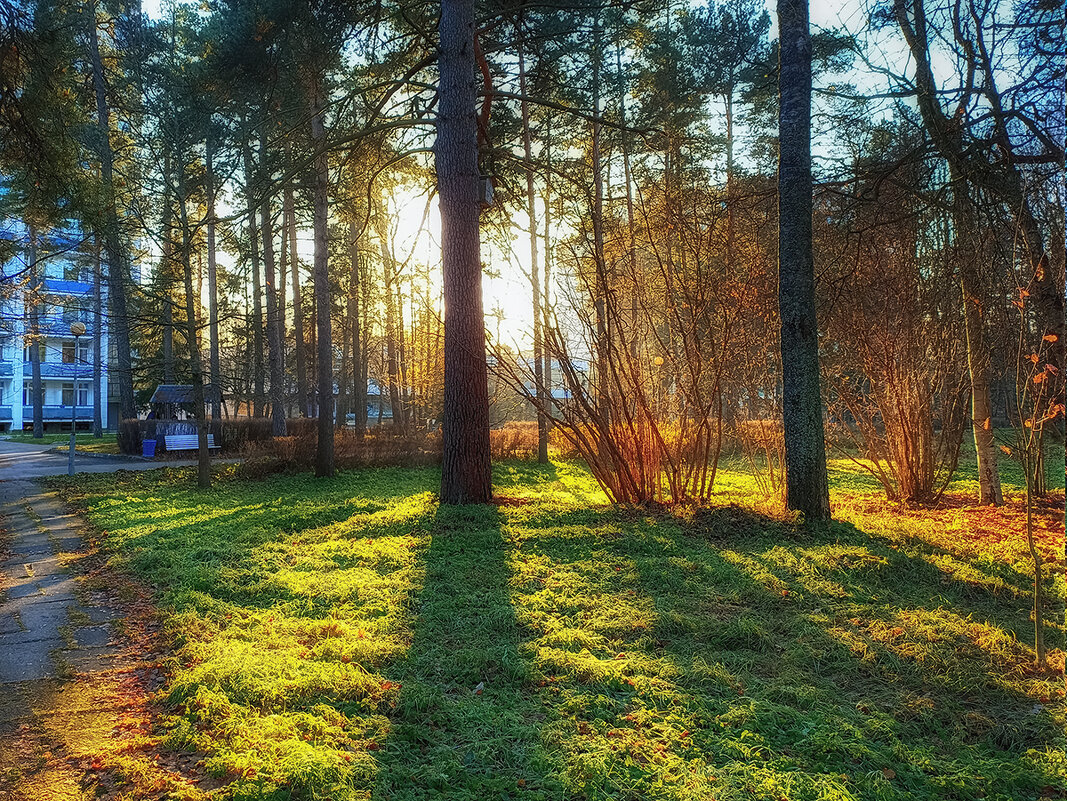 Солнечный, осенний день. - Лилия *