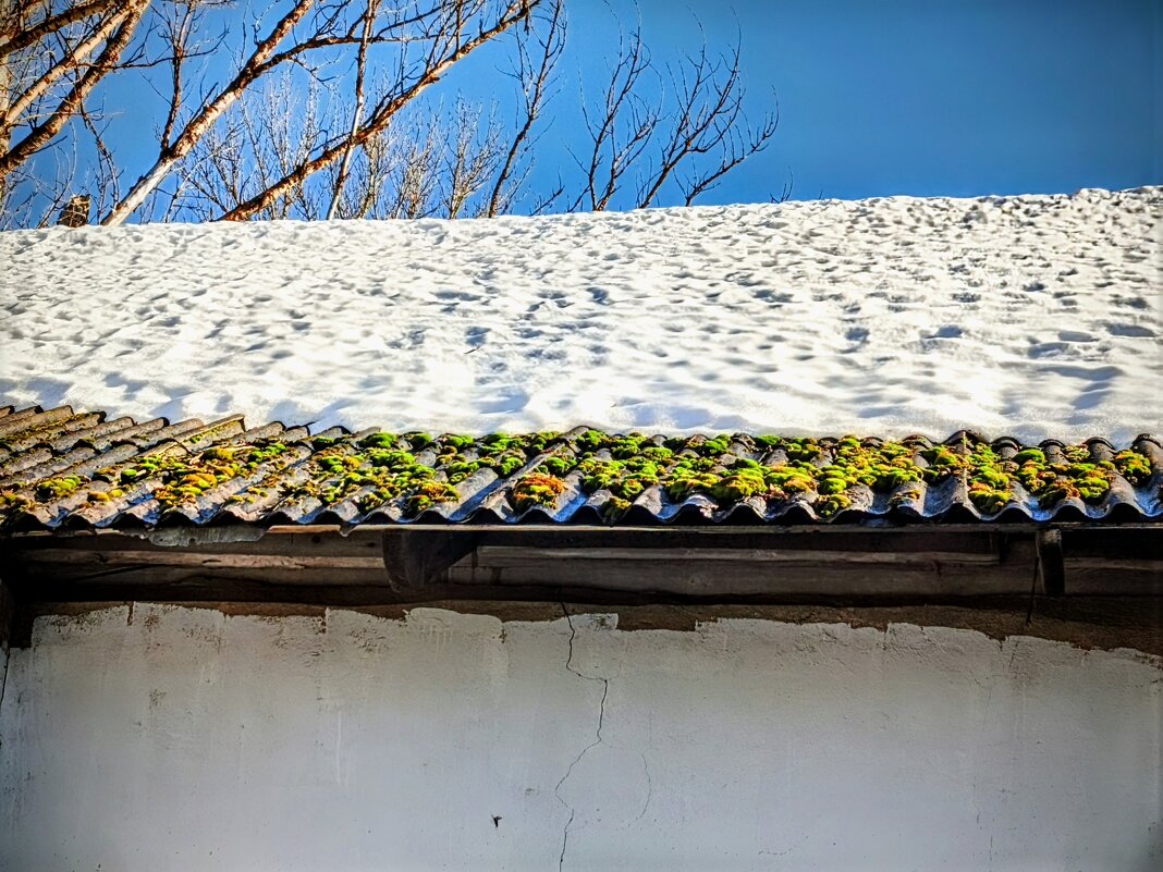 Зима встречается с весной... - Михаил Столяров