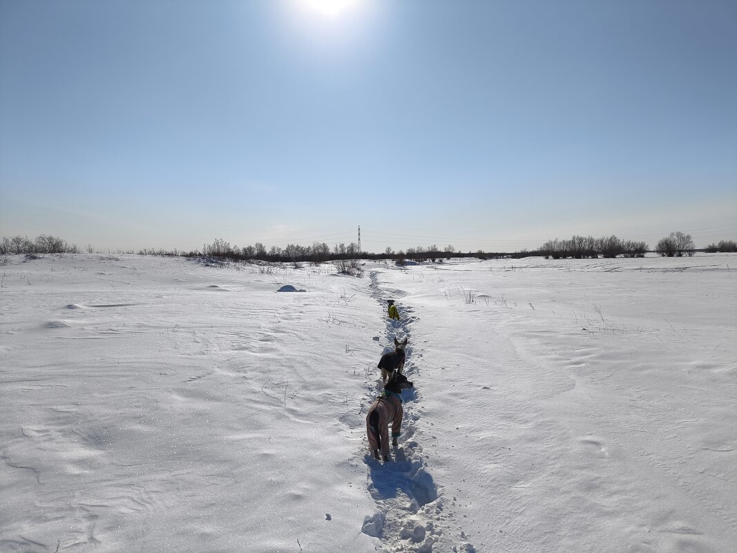 Замело - Anna Ivanova