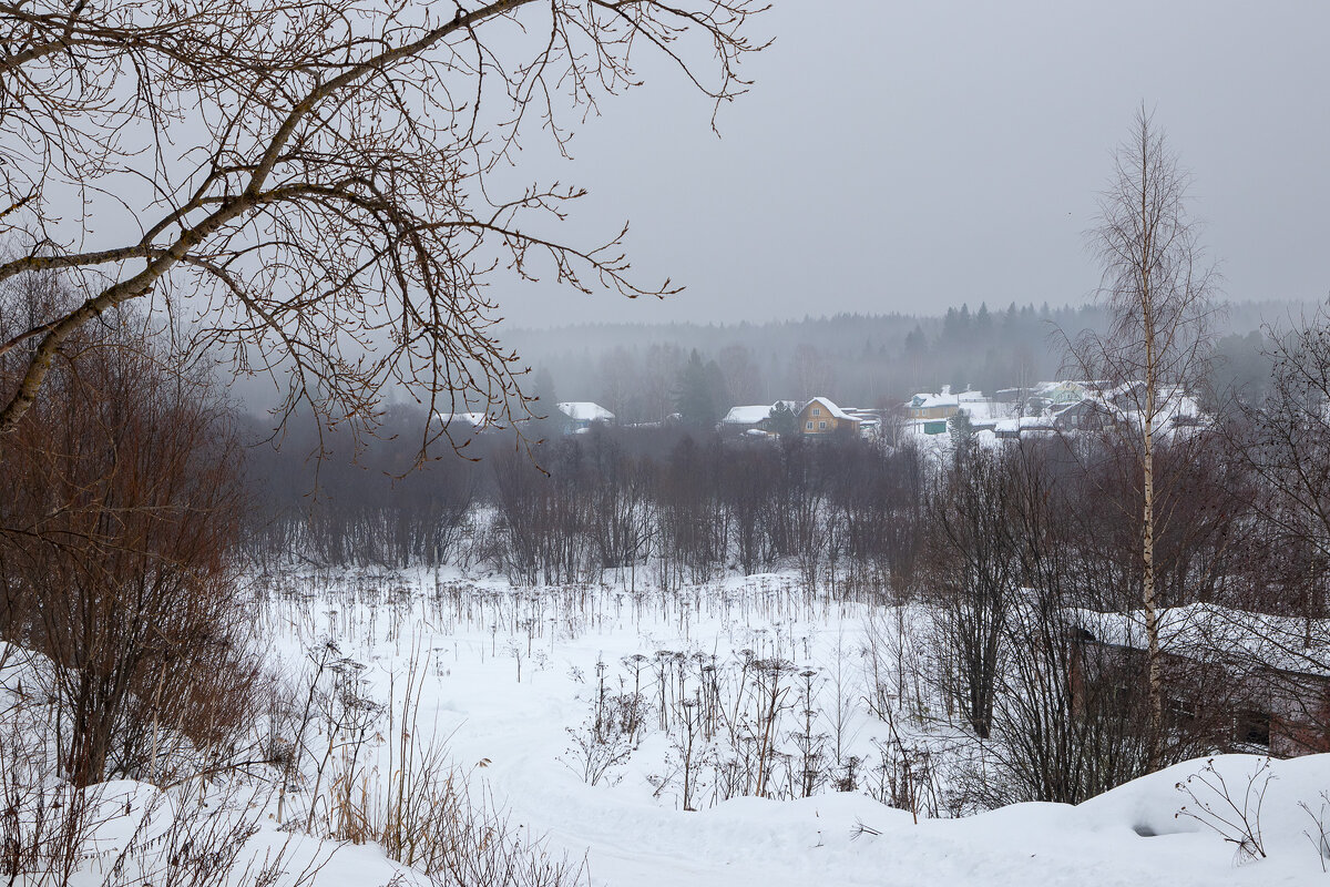 Туманное утро. Март. - Андрей Дурапов