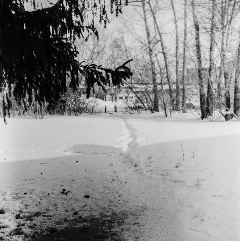 Тропинка - Михаил Соколов