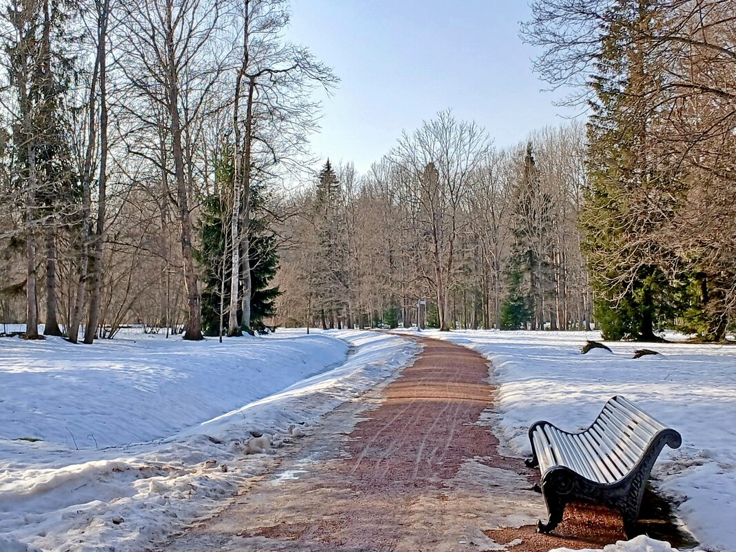 Март пока радует! - Лия ☼