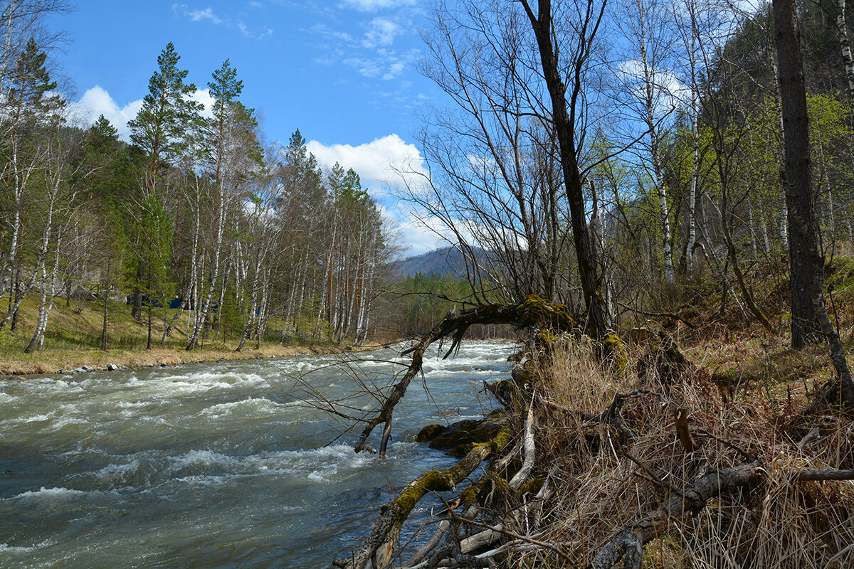 По р.Куба - Валерий Медведев