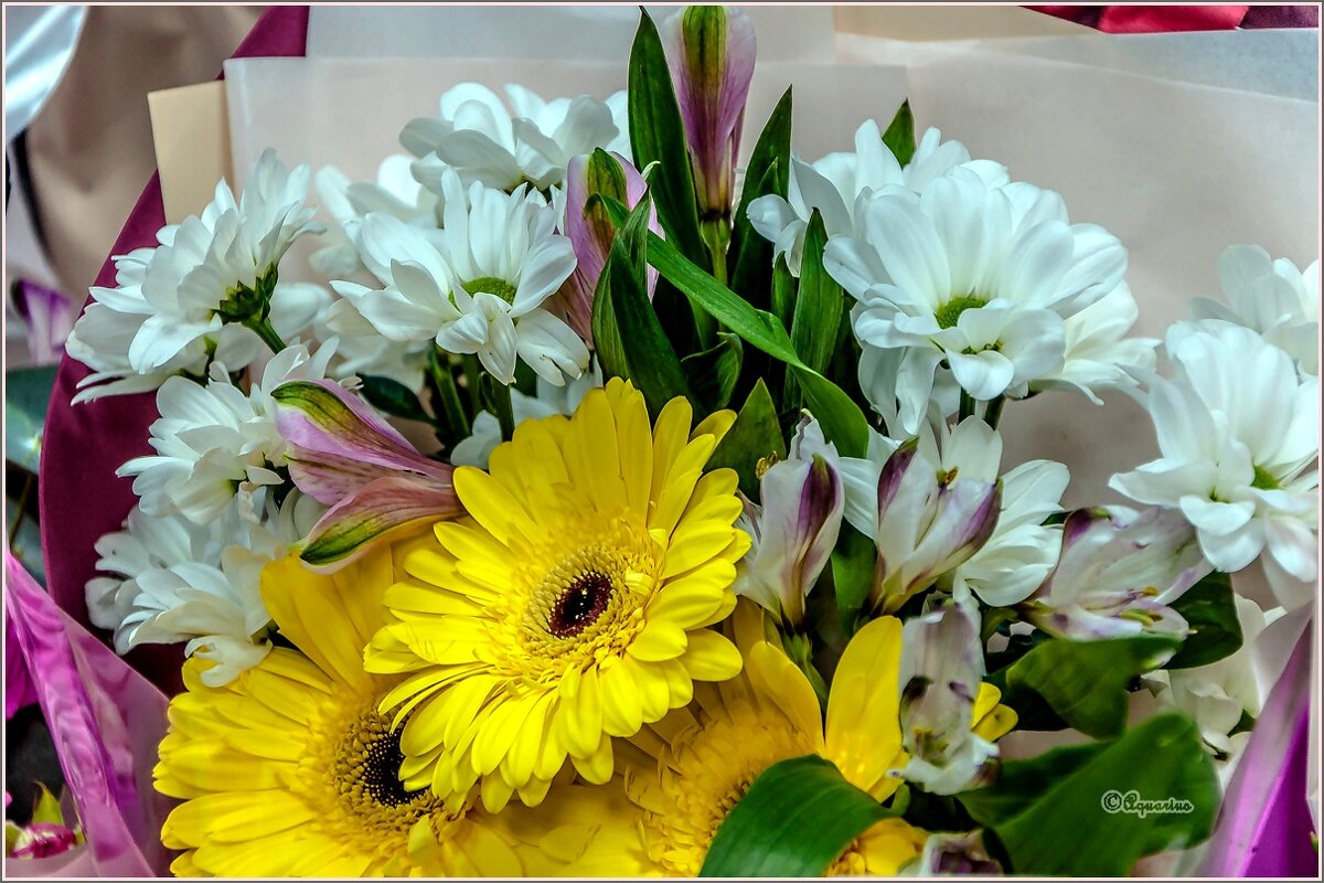 Про март... - Aquarius - Сергей