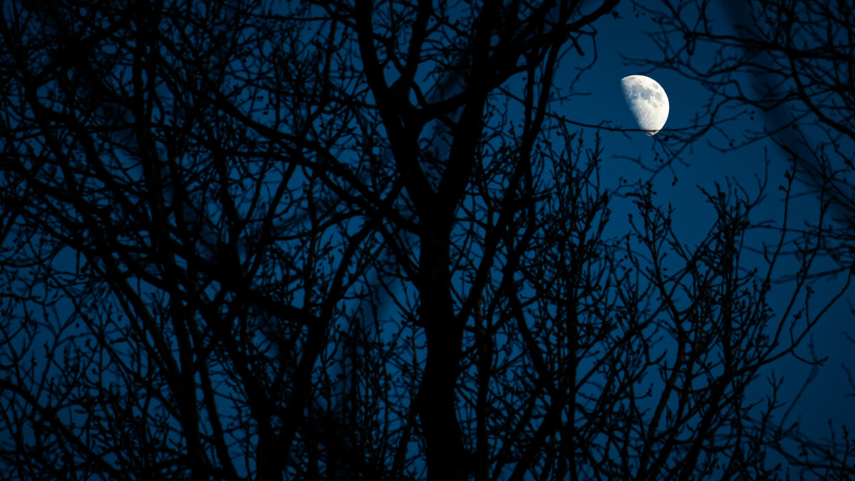 Луна - Илья Шенгелия