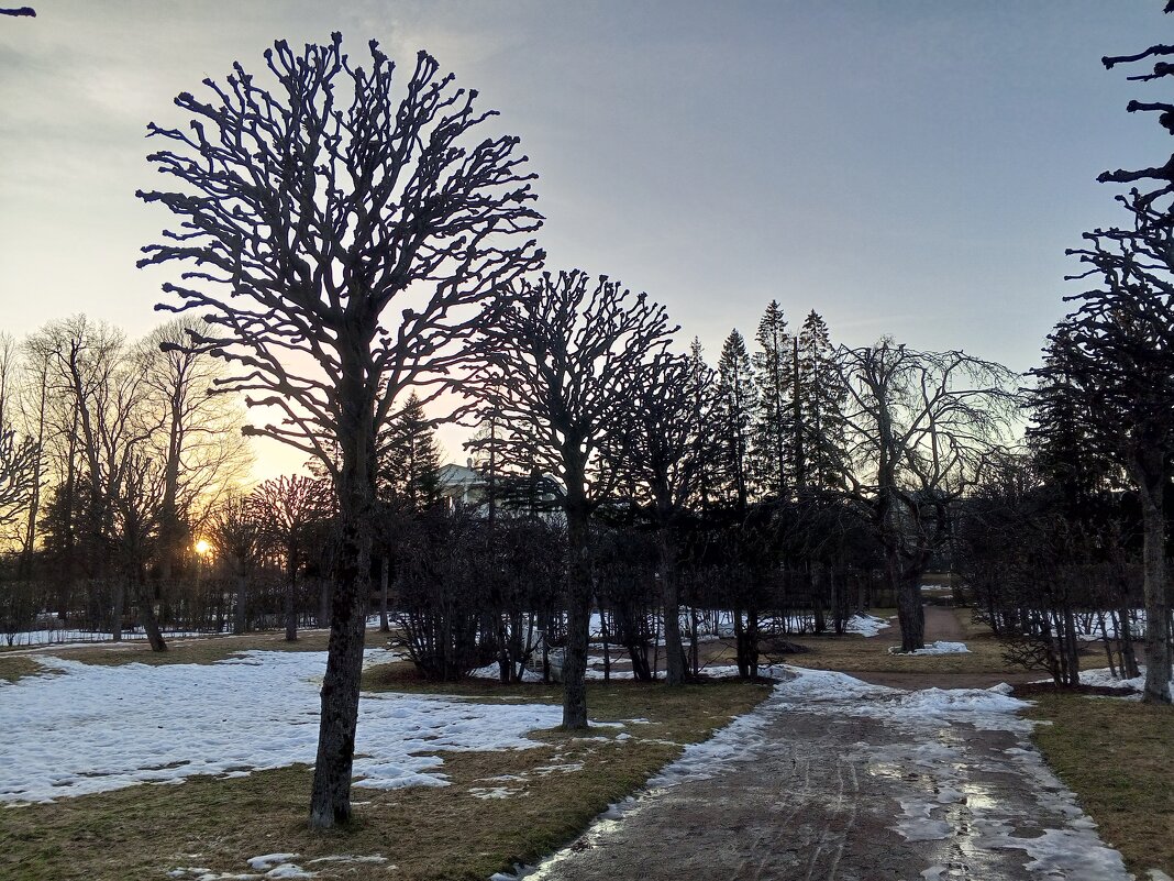 Закат - Сапсан 