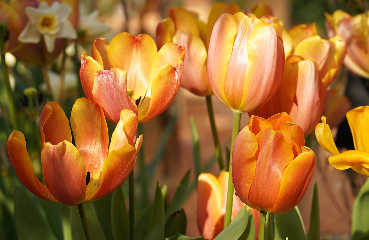 --- - Татьяна Тюменка