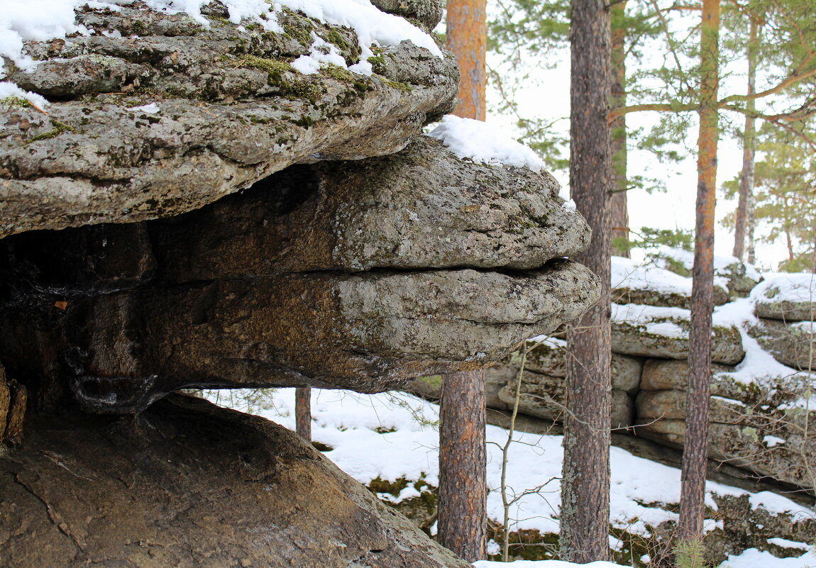 Скала Черепаха - Татьяна Лютаева