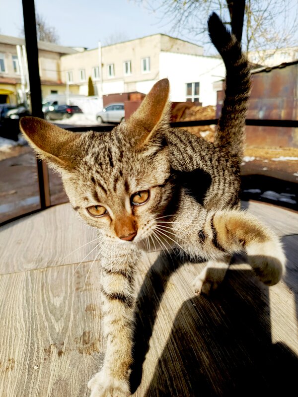 Ну, будем знакомы! - Vladimir Semenchukov