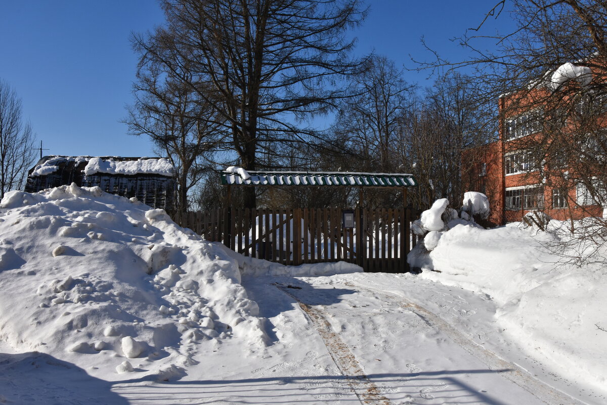 Московская область. Федоскино. - Наташа *****