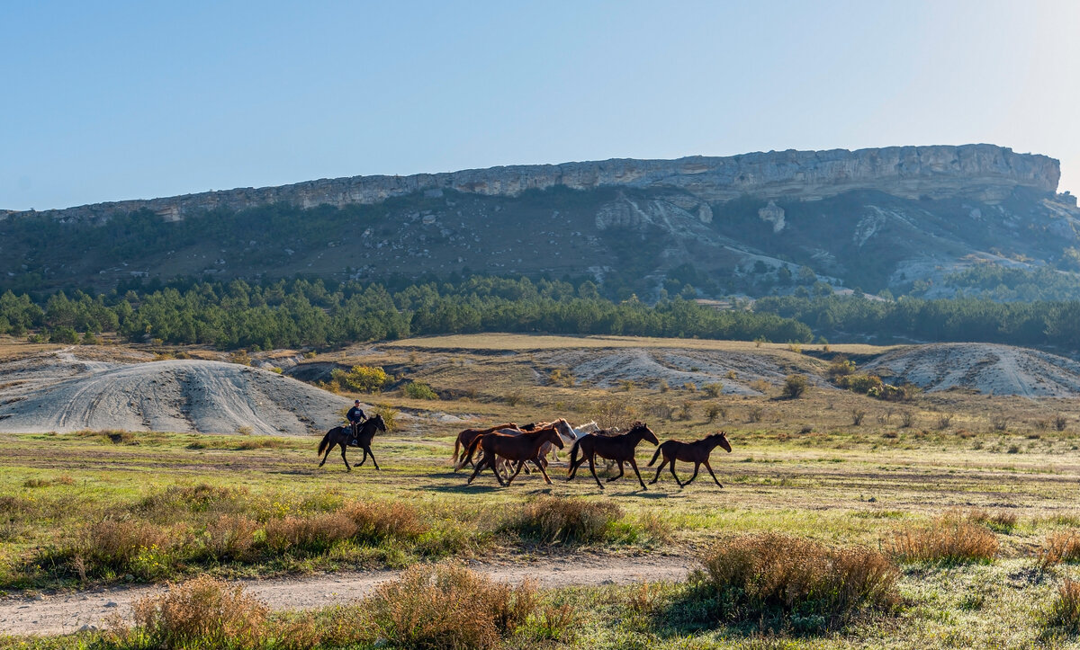 крымский ковбой - Виталий Емельянов крымский ковбой - Виталий Емельянов