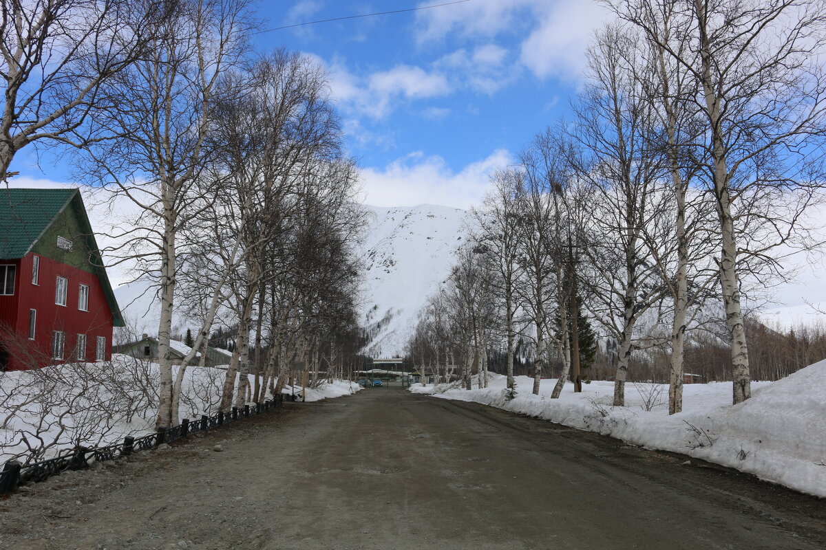 Весна в ботаническом саду - Ольга 