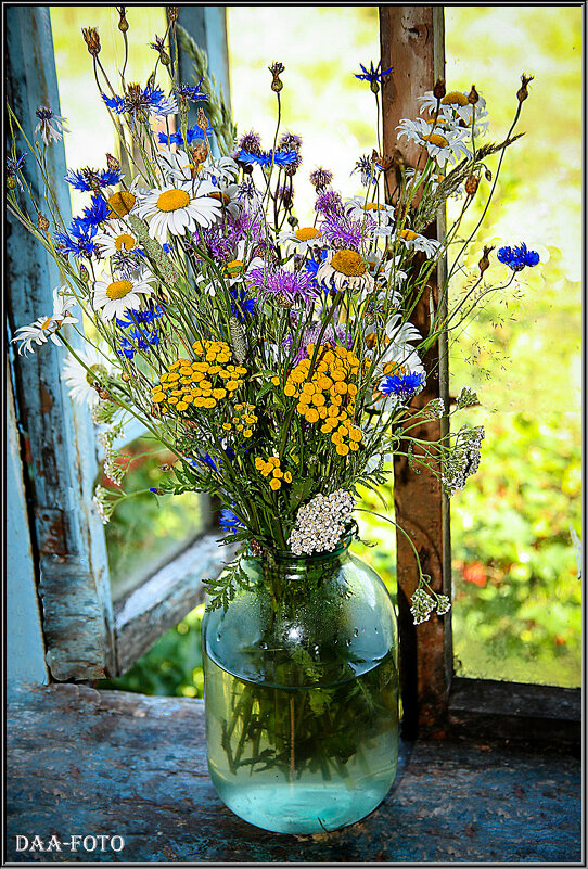 Полевые цветы на старом окне. - Александр Дмитриев
