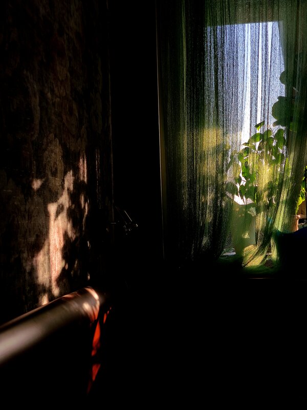 * - Сергей Полянский