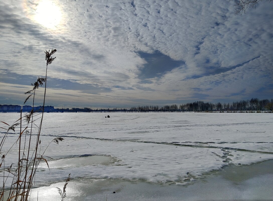 Мартовское солнце - Мария Васильева