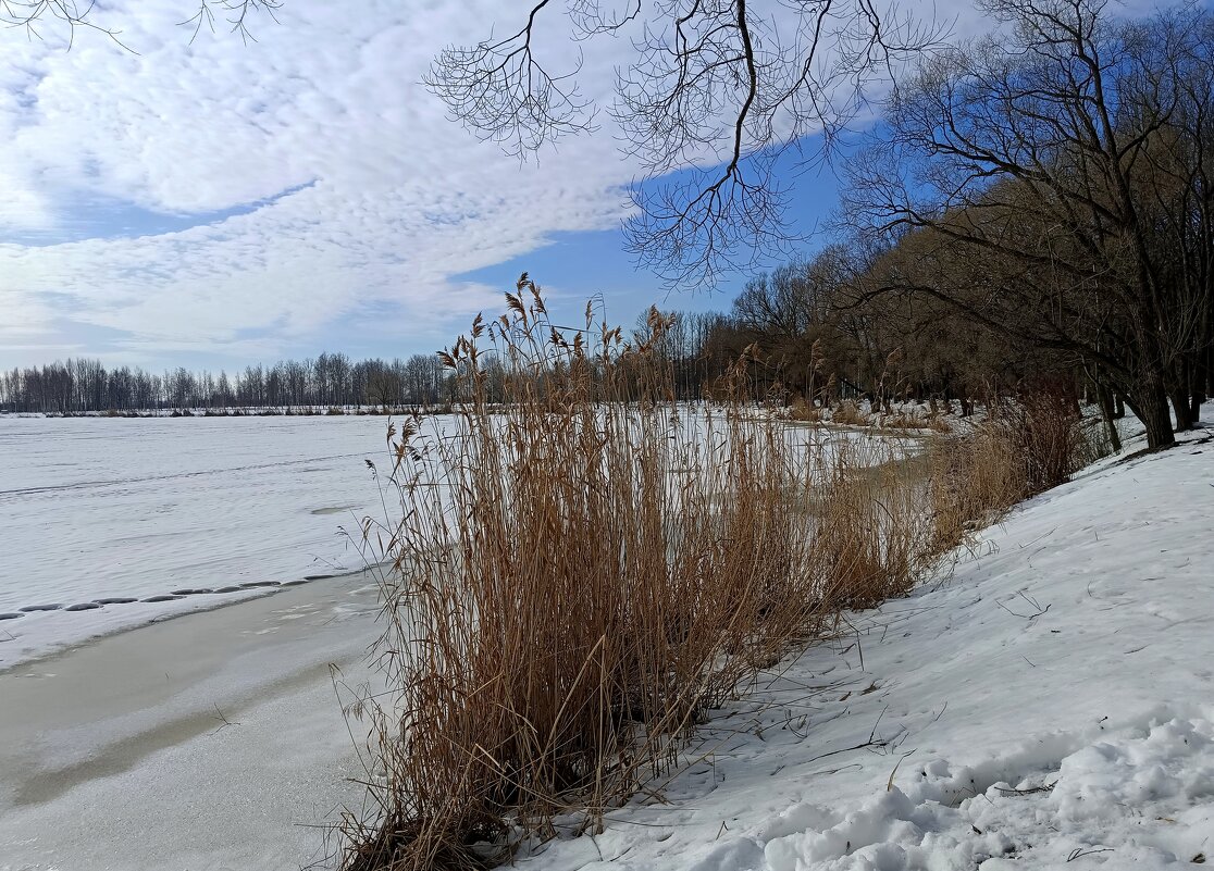 Март на Ижоре - Мария Васильева
