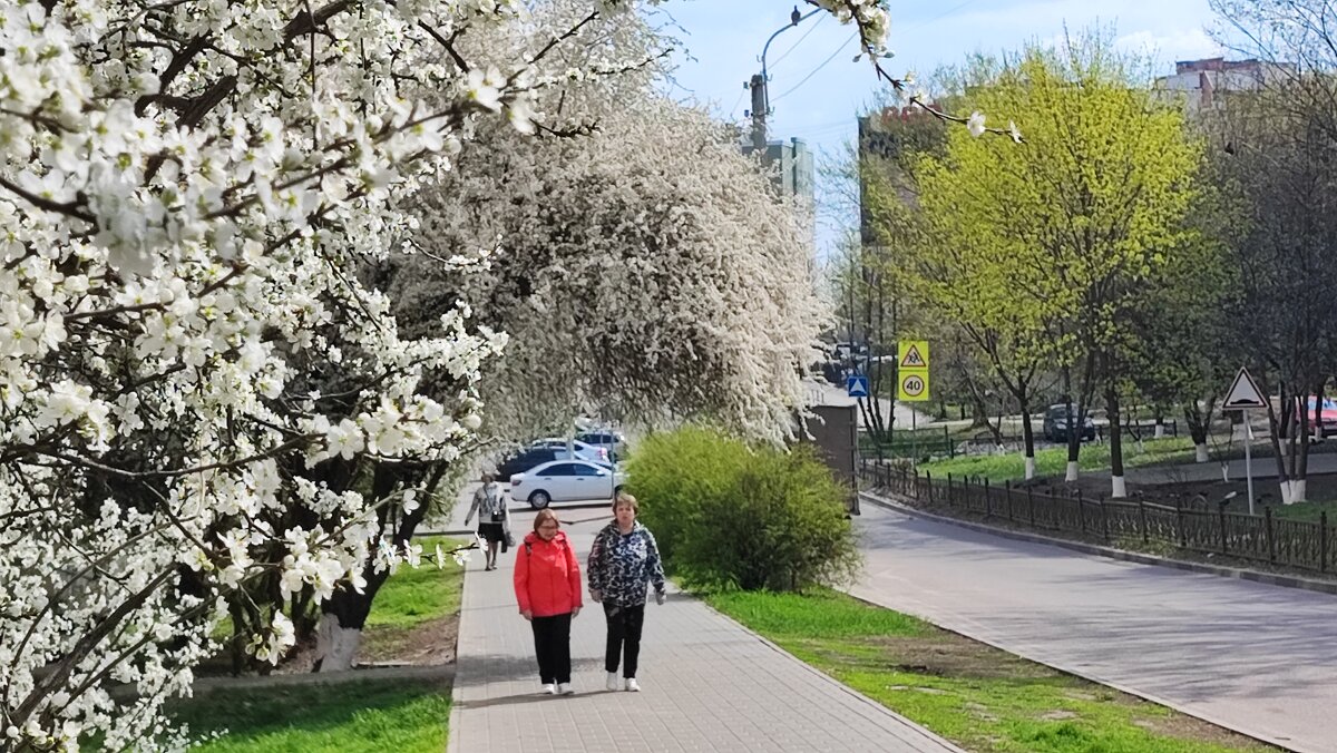 ,,, - Сергей Тимоновский ,,, - Сергей Тимоновский