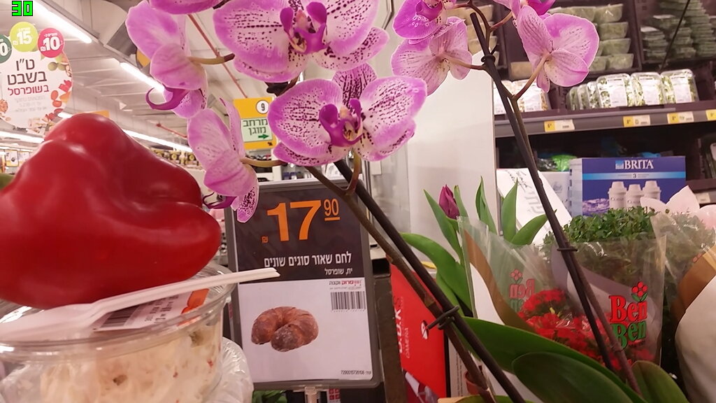 14  КЛОС (40) - СТРЕН 