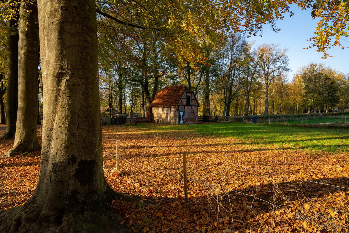В парке... - Николай Гирш В парке... - Николай Гирш