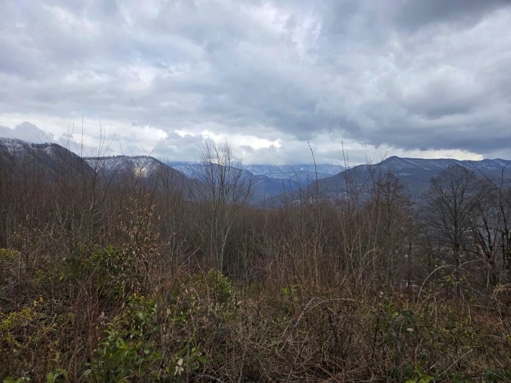 ПРОГУЛКА В ГОРАХ - Tata Wolf