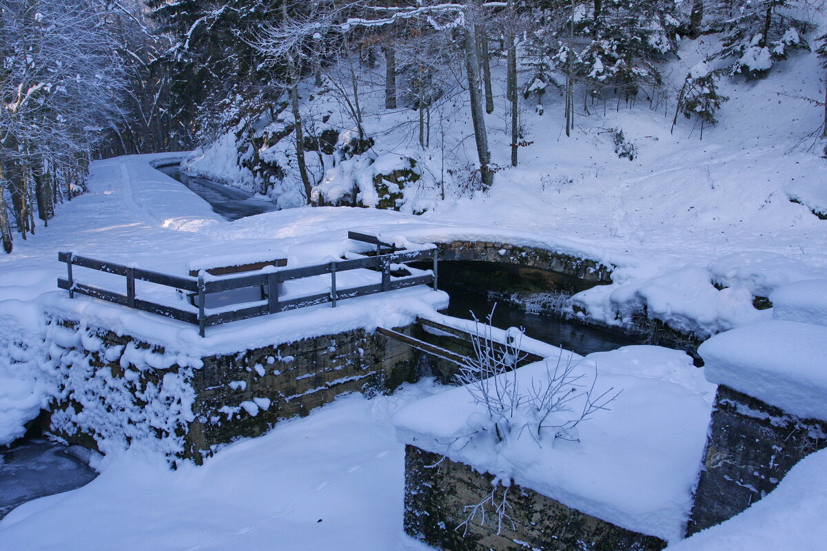 В зимнем лесу - Ирэн В зимнем лесу - Ирэн