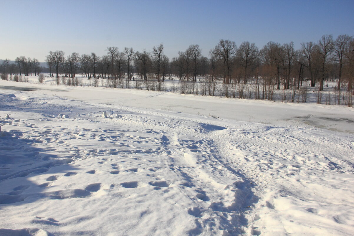 Идти или не идти... вот в чём вопрос? - Евгений Корьевщиков