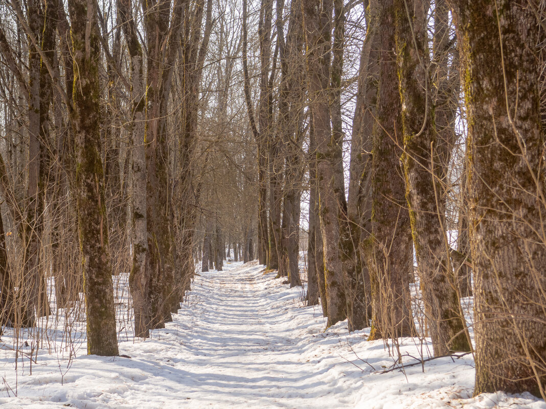 ___ - Yuriy V ___ - Yuriy V