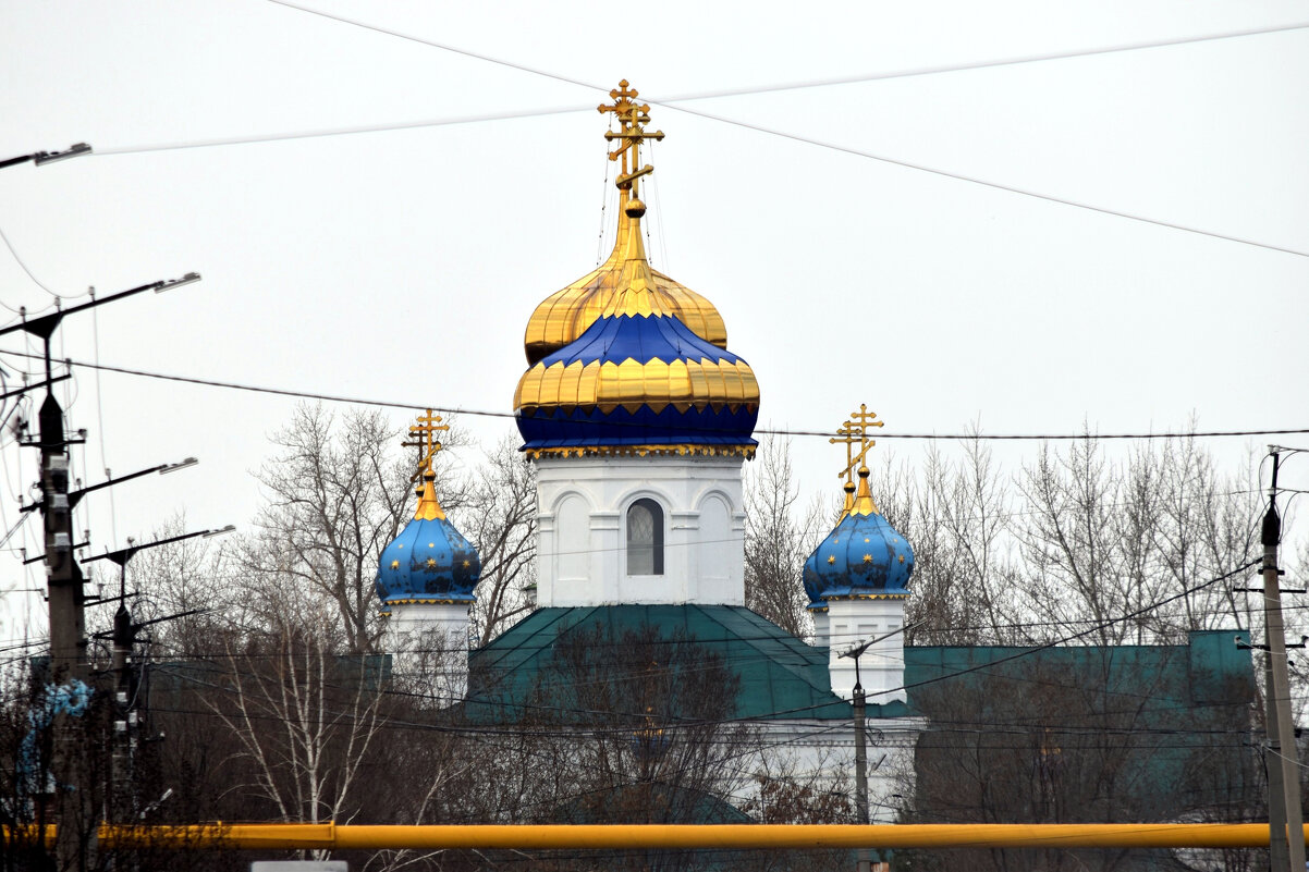 Вид - Дарья Шуклина