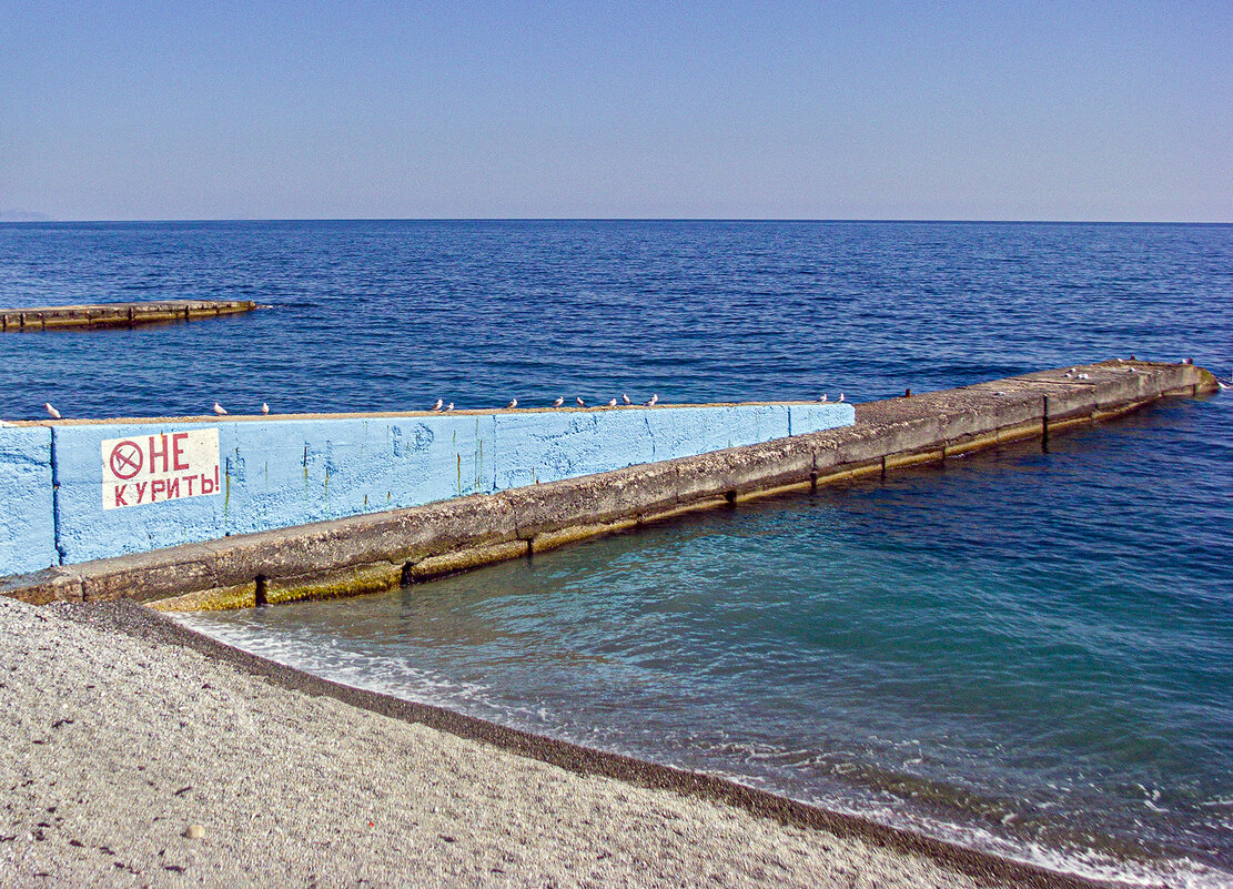 Море и чайки! - Варвара Море и чайки! - Варвара