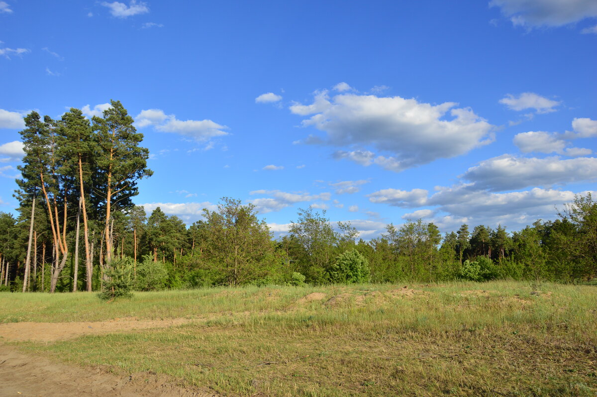 Весна. - Виктор 