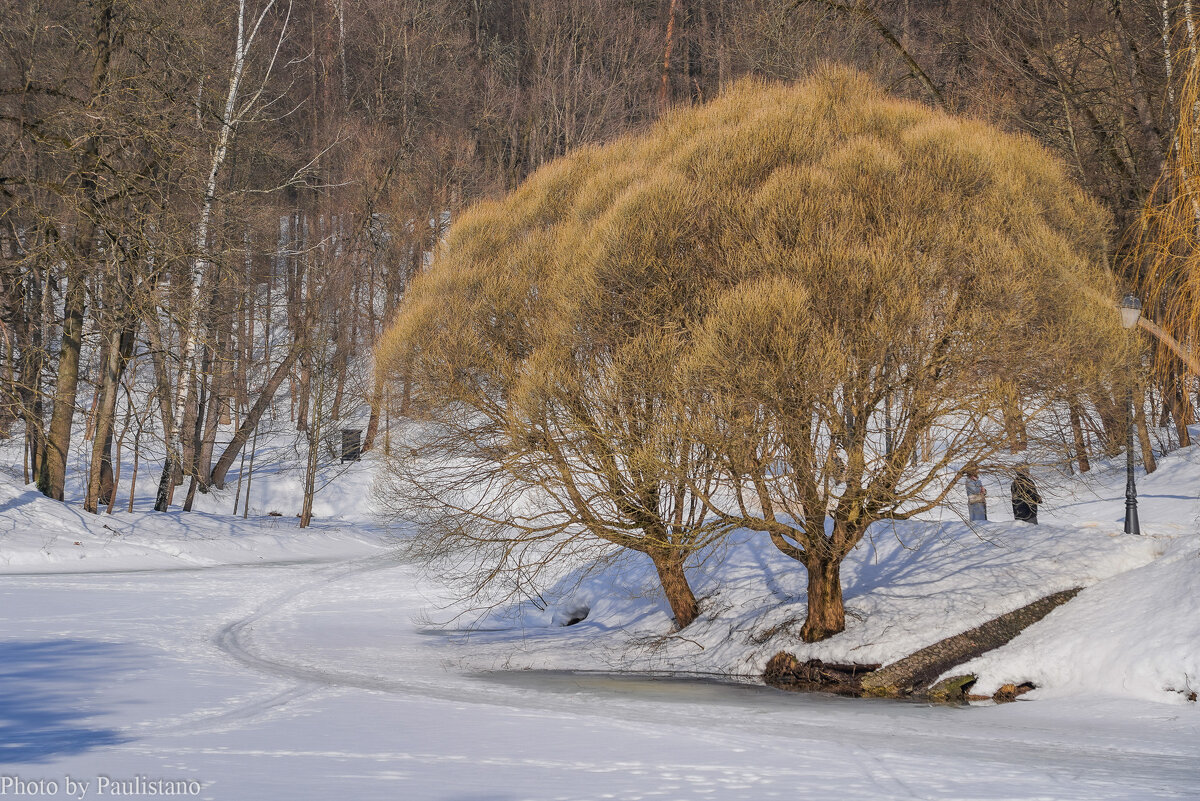 Март в Царицыно... - Владимир Жданов