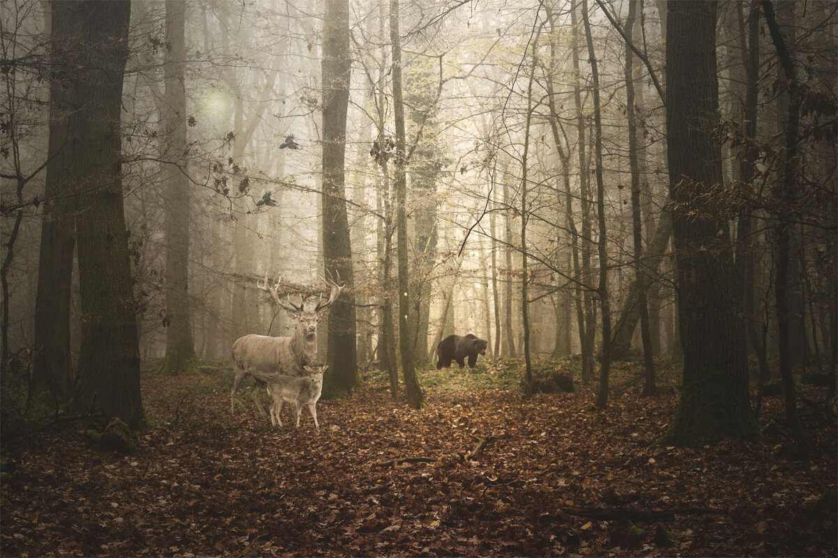 .......... - Свечение Язычество