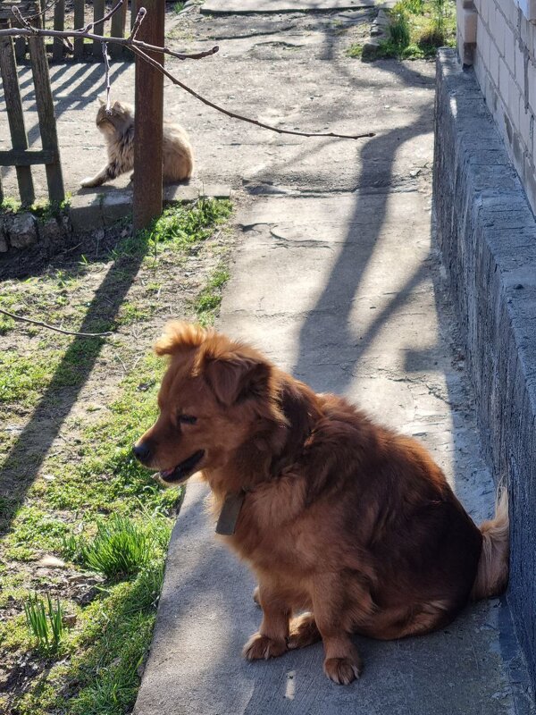 Солнечный день - Наталья 
