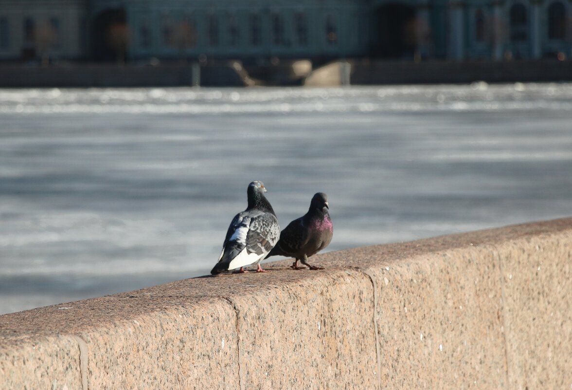 Весна - Наталья Герасимова