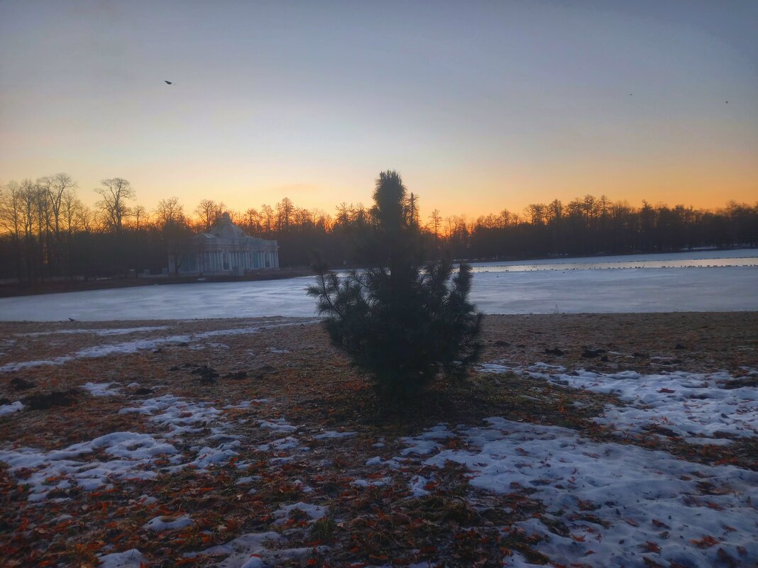 Рассвет - Сапсан 