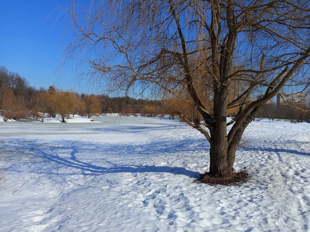 Приметы марта - Андрей Лукьянов Приметы марта - Андрей Лукьянов