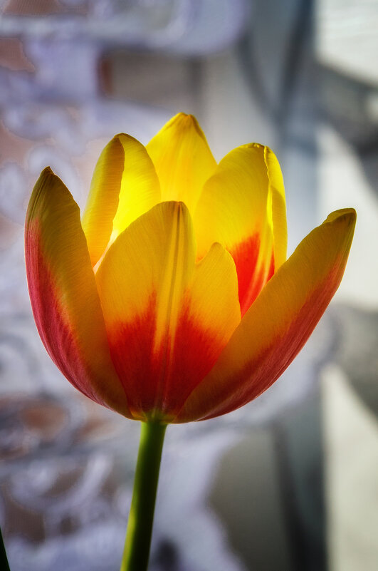 *** - Виктор Иванович Чернюк