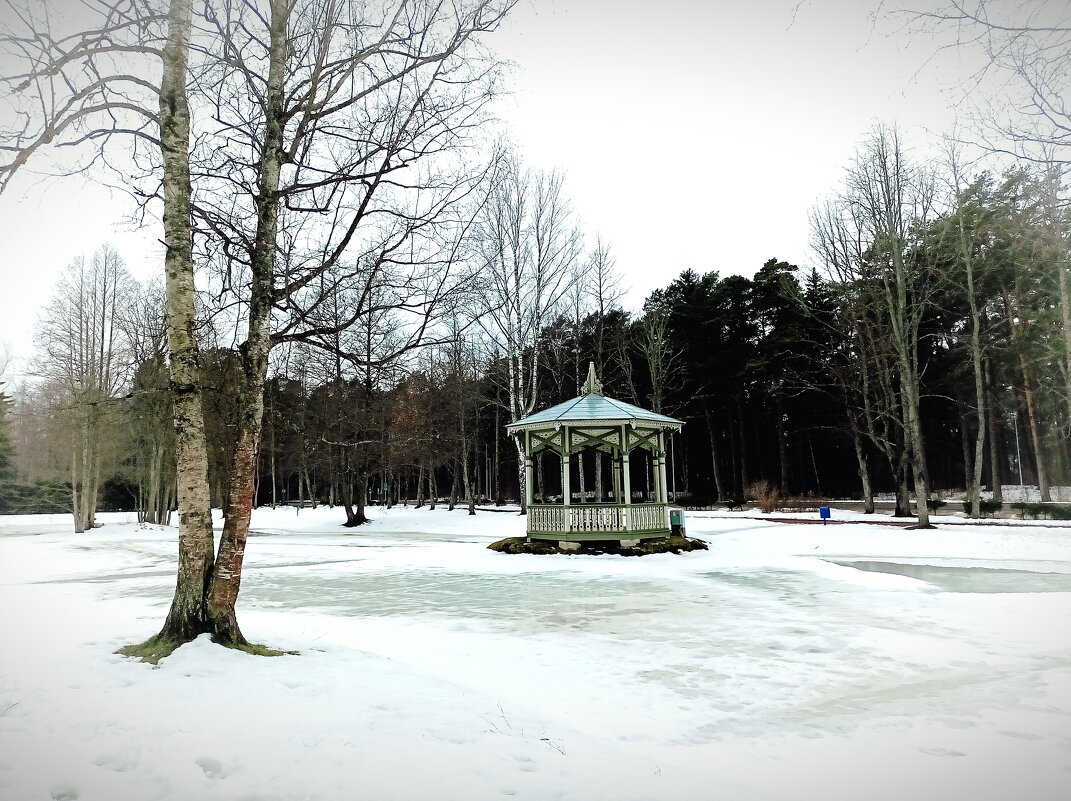 Прогулка в Нарва-Йыэсуу - Veera V