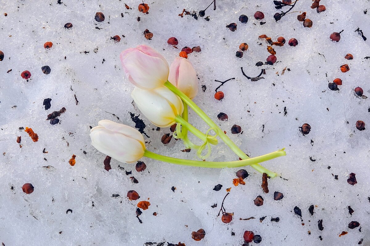 Был месяц март - Валерий Иванович