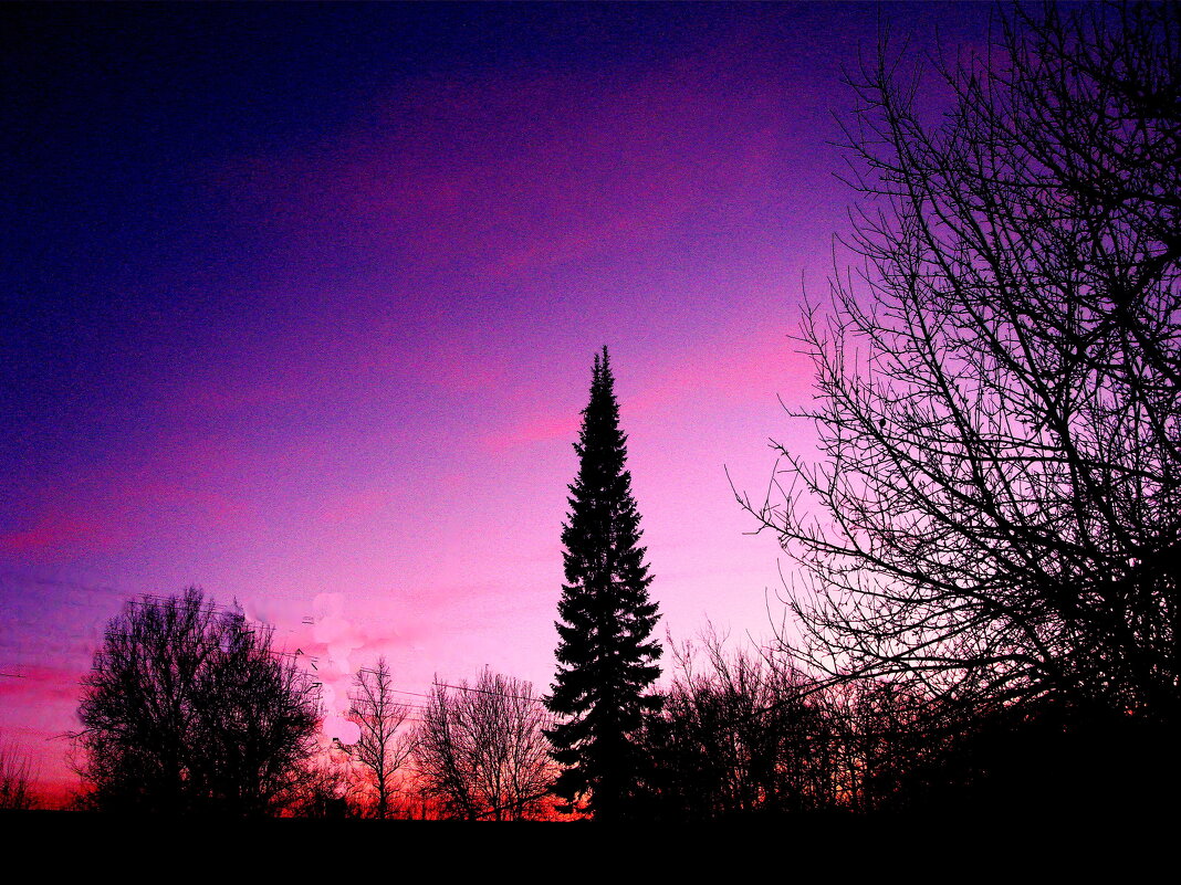 Мартовский вечер - Людмила Смородинская