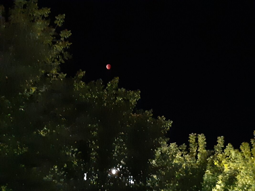 Затмение луны - Галина Минчук