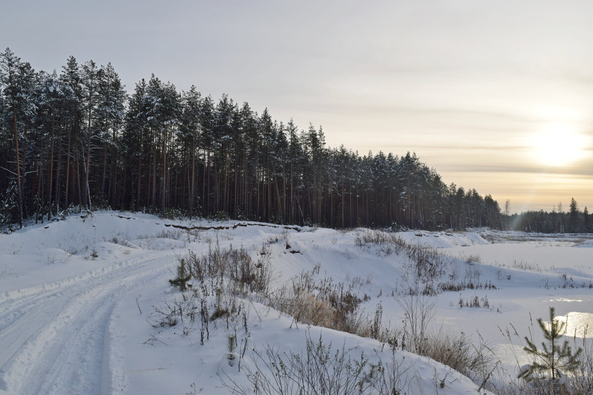 Дорога к солнцу. - ВикТор Быстров Дорога к солнцу. - ВикТор Быстров