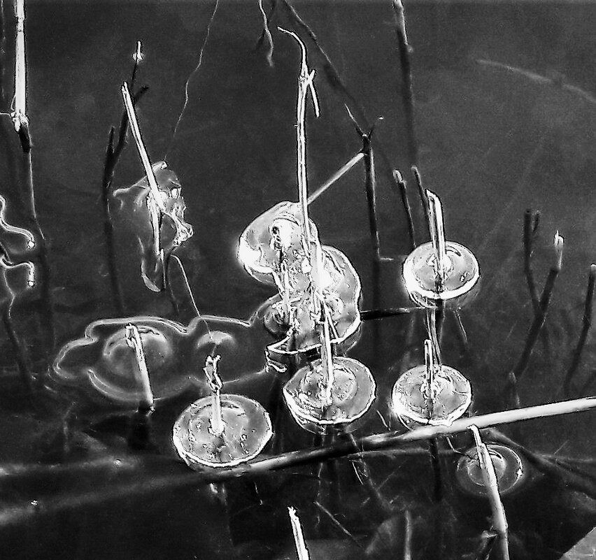 ПОПЛАВКИ / ч б / - Виктор Никитенко ПОПЛАВКИ / ч б / - Виктор Никитенко