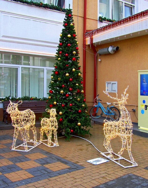 Елочка, олени - Сергей Карачин Елочка, олени - Сергей Карачин