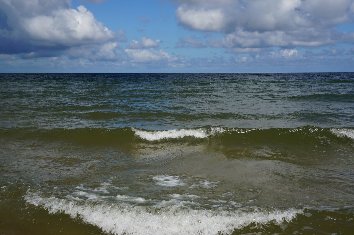 ~ ~ ~ ~ - Алёна Савина ~ ~ ~ ~ - Алёна Савина