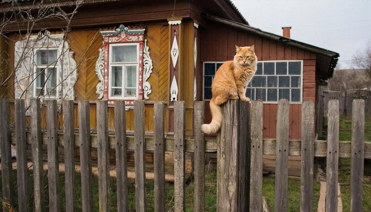 МАРТОВСКИЙ КОТ - СЕРГЕЙ ФИЛОЧКИН