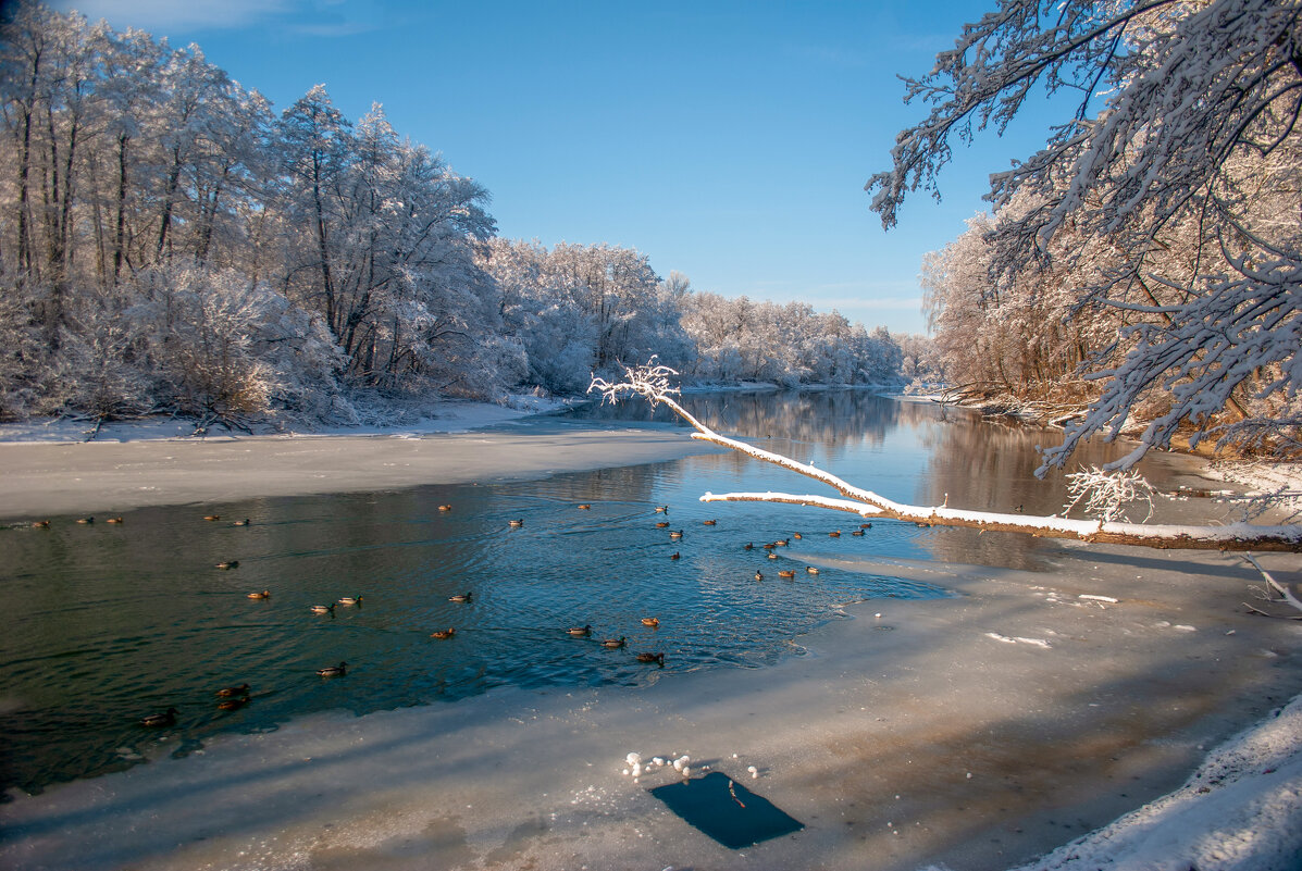 На реке Цне ....... - Александр Селезнев На реке Цне ....... - Александр Селезнев
