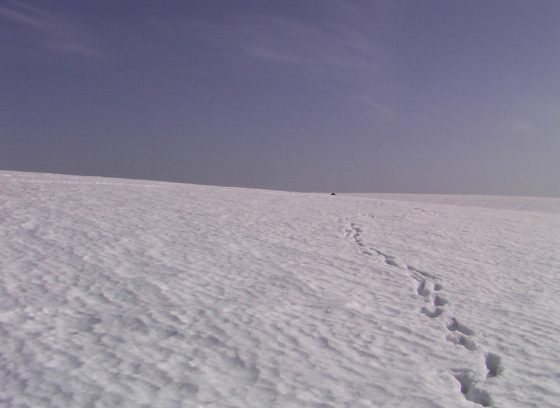 Путь в белую пустыню - fogmeadowww m
