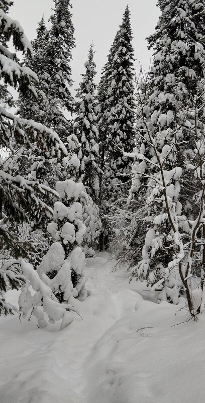 Снежный день!!! - Радмир Арсеньев